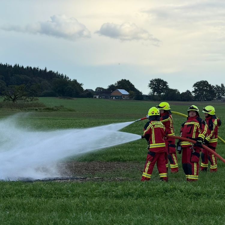 Flächenbrand